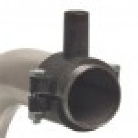 PP113850